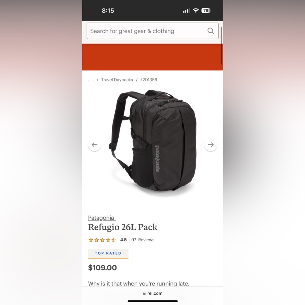 Patagonia Refugio Black backpack